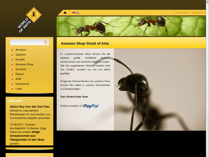 www.world-of-ants.com