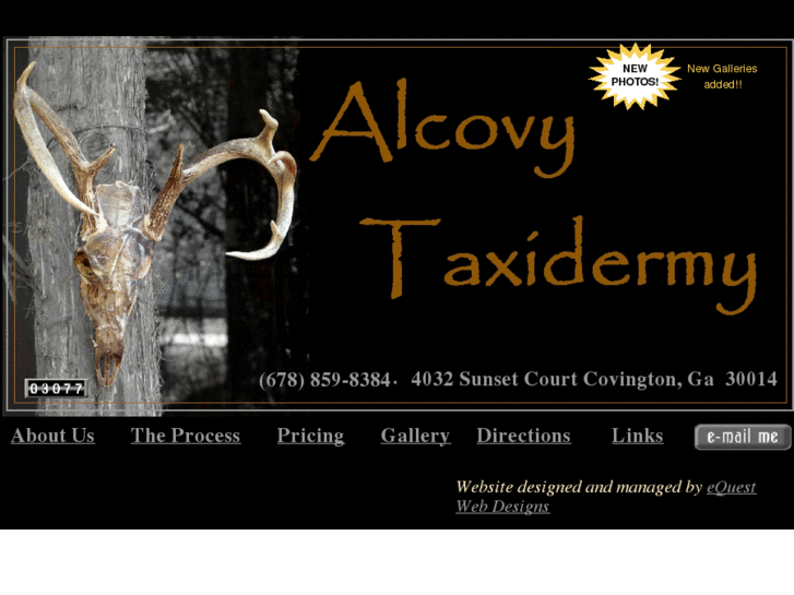 www.alcovytaxidermy.com