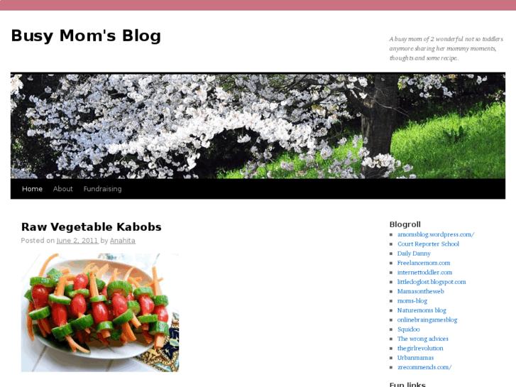 www.busymomsblog.com