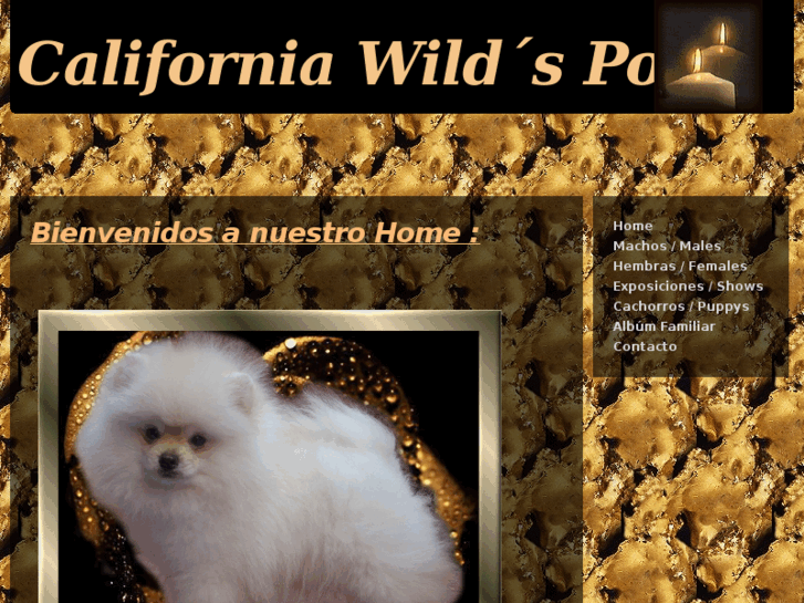 www.californiawildpoms.com