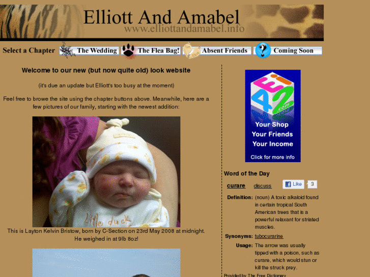 www.elliottandamabel.info