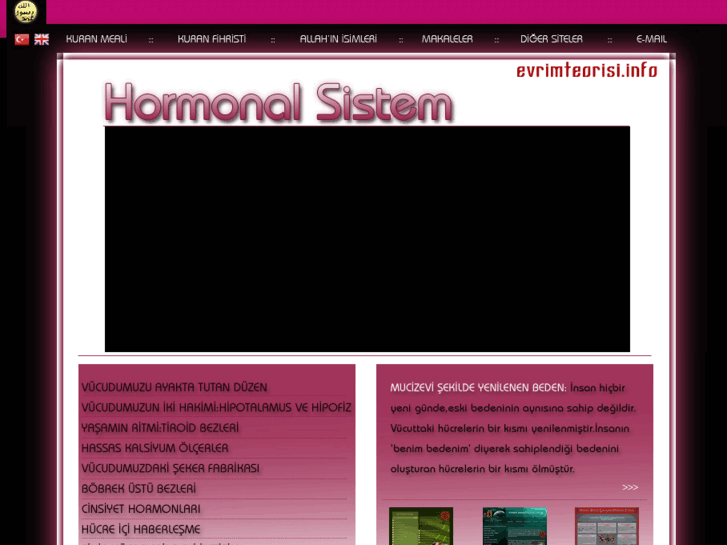 www.hormonalsistem.com