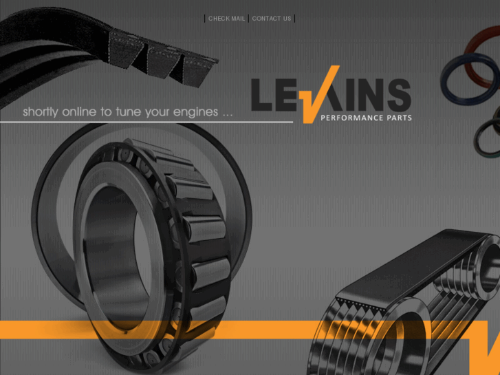 www.levkins.com