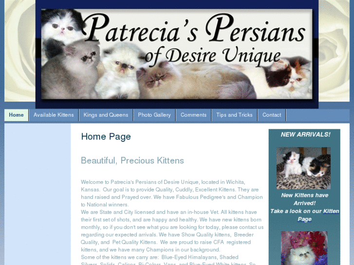 www.patreciaspersiansofdesireunique.com