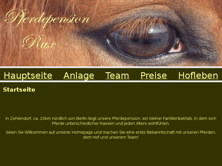 www.pferdepension-rux.de