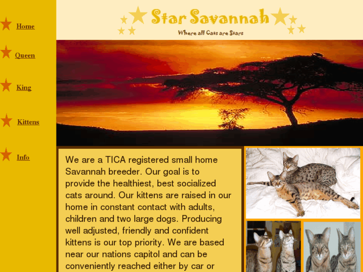 www.starsavannah.com