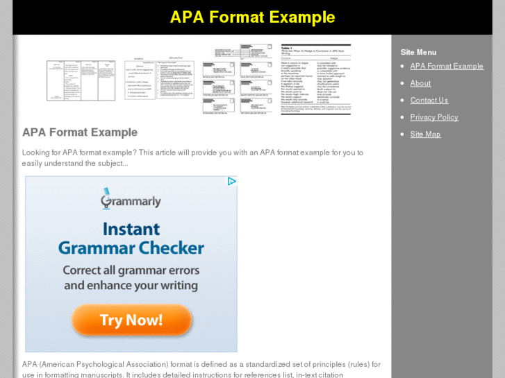 www.apaformatexample.net