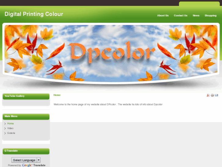 www.dp-color.com