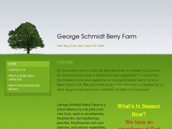 www.georgeschmidtberryfarm.com