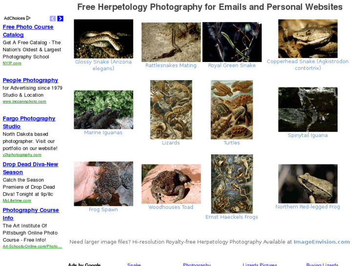 www.herpetologyphotography.com