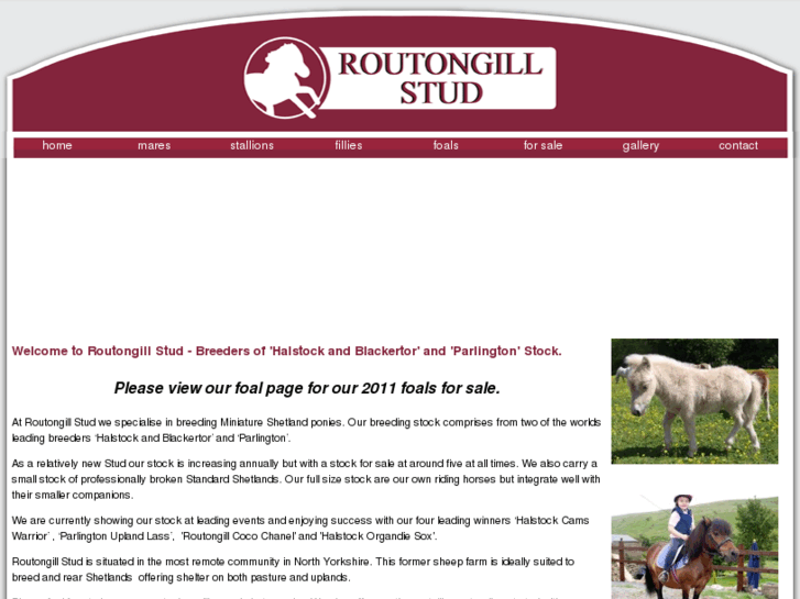 www.routongillstud.co.uk