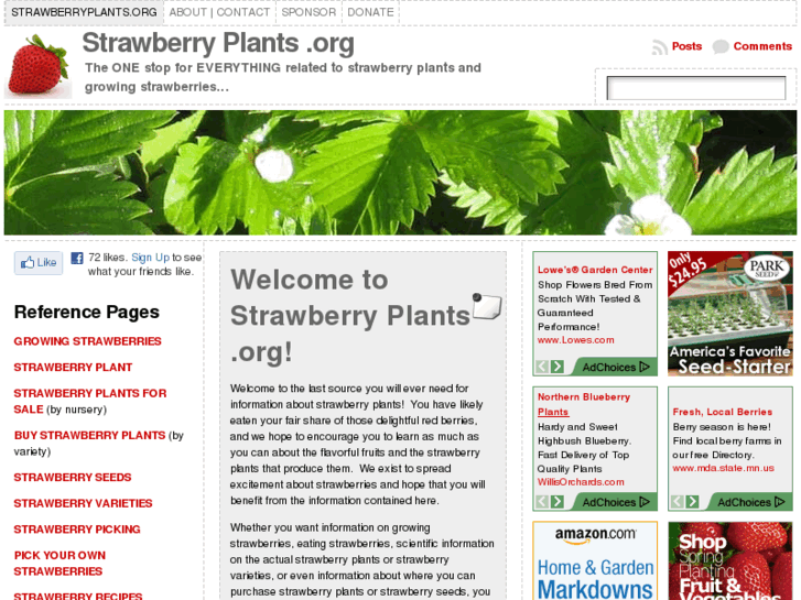 www.strawberryplant.org