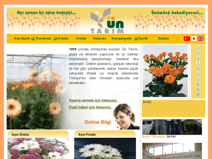 www.untarim.com