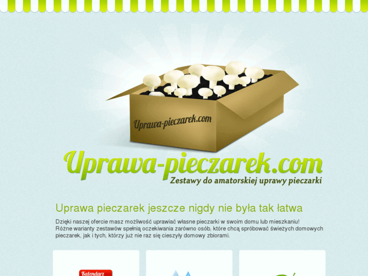 www.uprawa-pieczarek.com