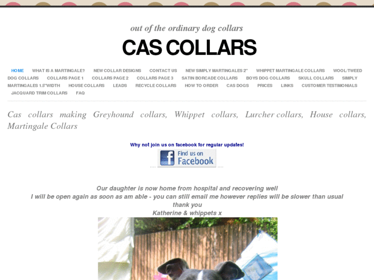 www.cascollars.com