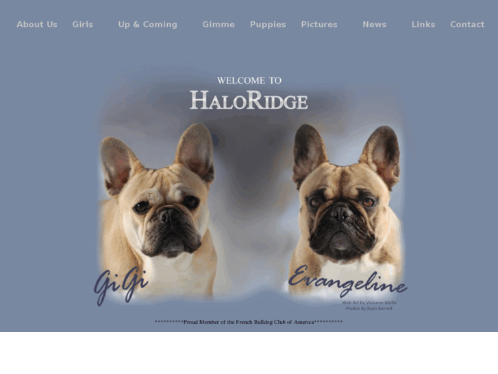 www.haloridge.com