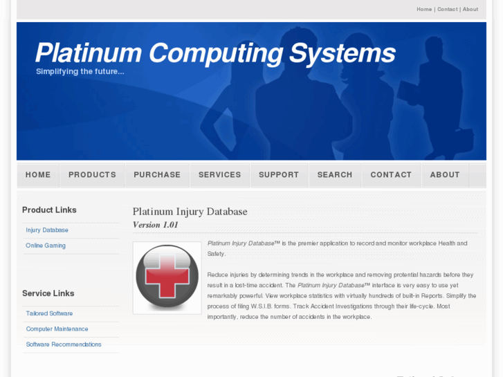 www.platinumcomputing.com