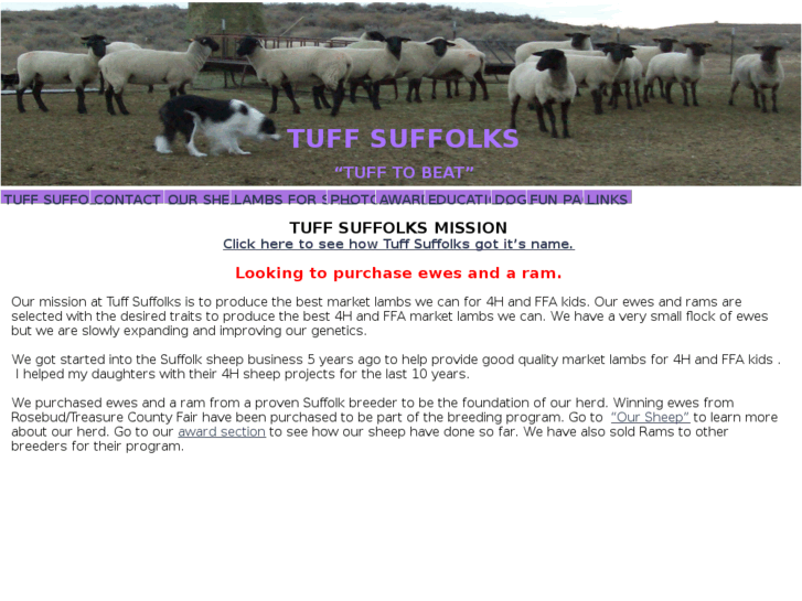 www.tuffsuffolks.com