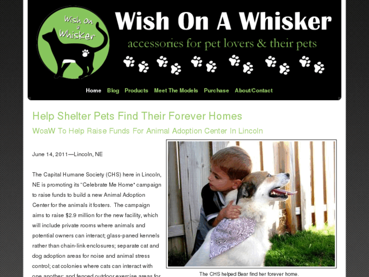 www.wishonawhisker.net