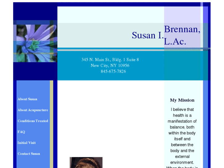 www.acupunctureofnyack.com