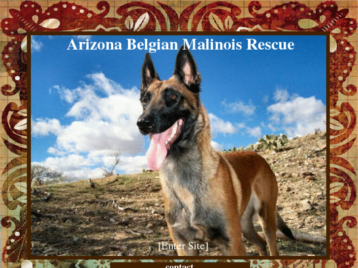 www.azmalrescue.org