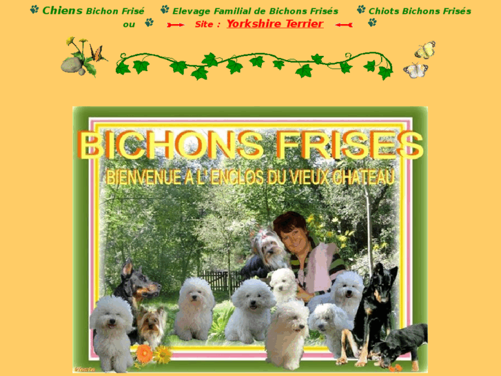 www.bichons-frises.com