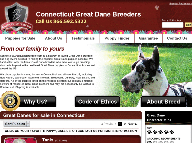 www.connecticutgreatdanebreeders.com