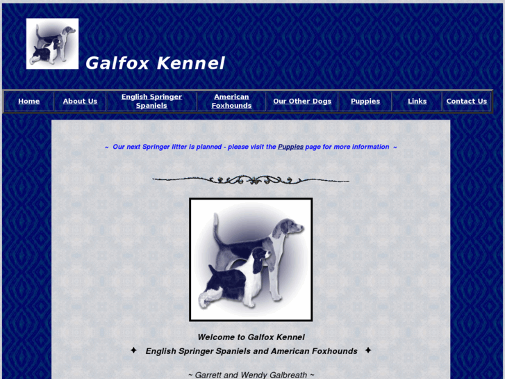 www.galfox.com