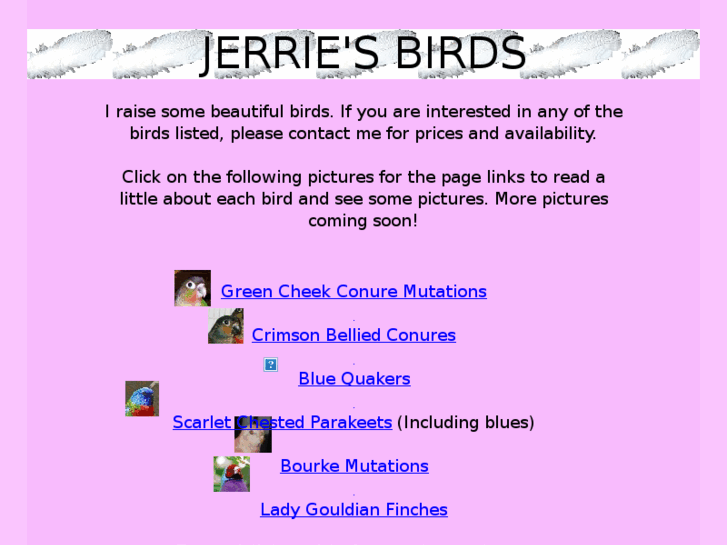 www.jerriesbirds.net