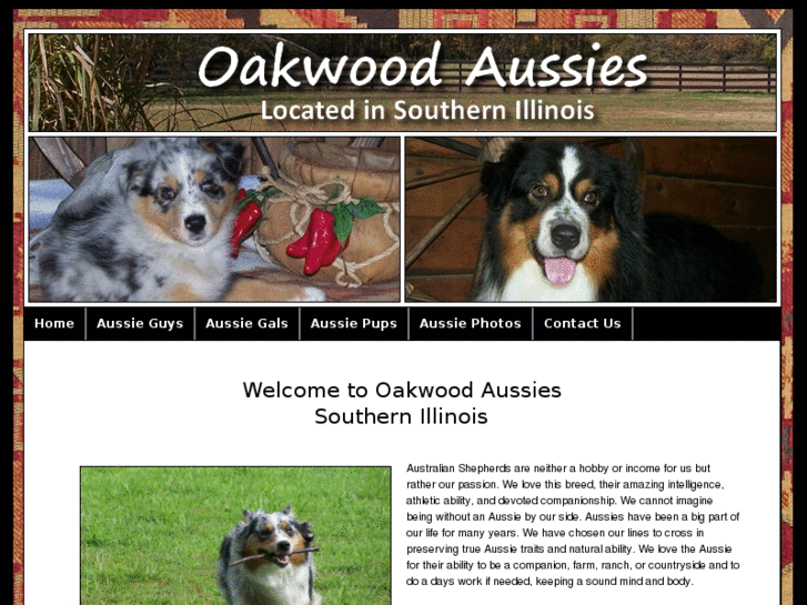 www.oakwoodaussies.com