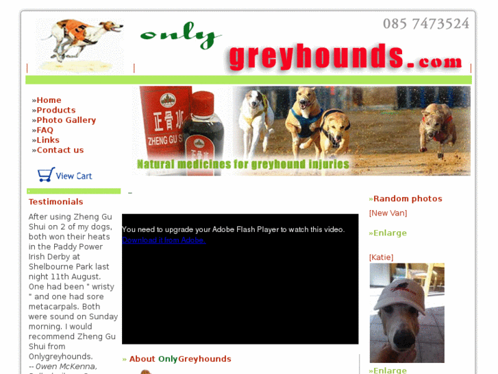 www.onlygreyhounds.com