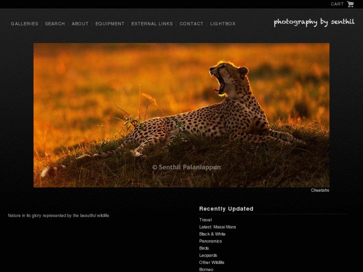 www.senthilwildlifephotography.com