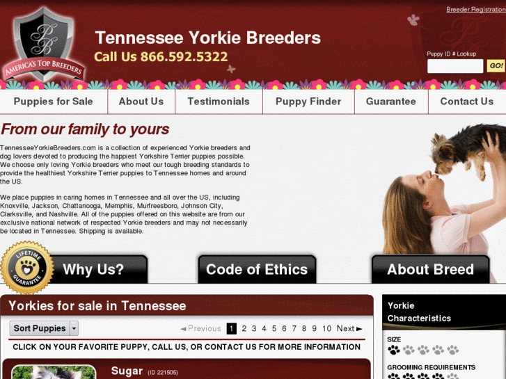 www.tennesseeyorkiebreeders.com