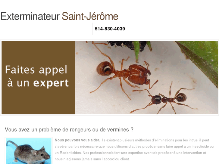 www.exterminateur-saint-jerome.com