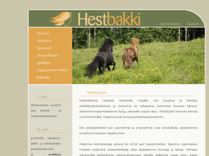 www.hestbakki.net