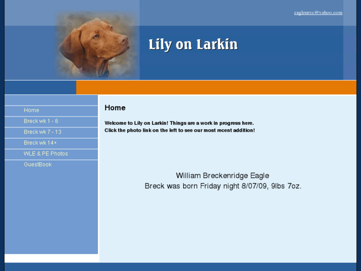 www.lilyonlarkin.com