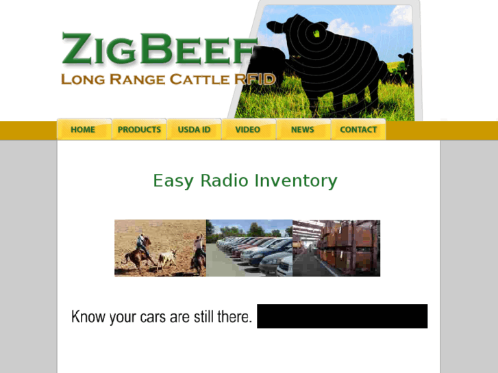 www.zigbeef.com