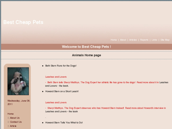 www.bestcheappets.net
