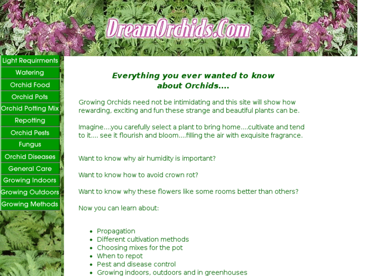 www.dream-orchids.com