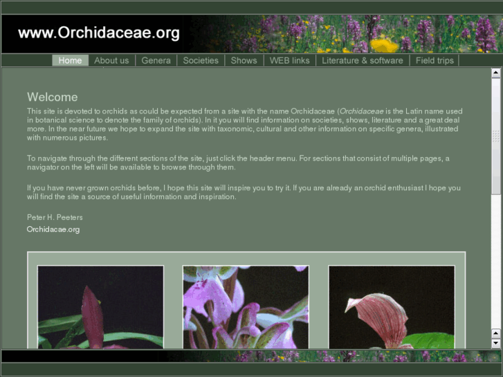 www.orchidaceae.org