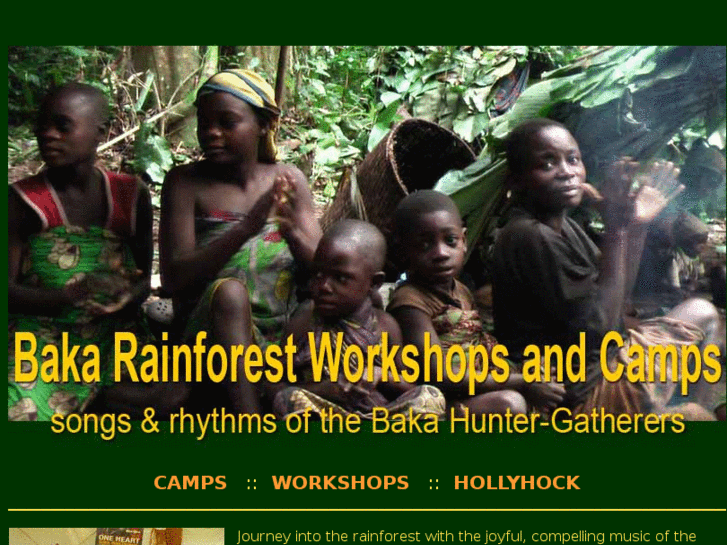 www.rainforestworkshop.com