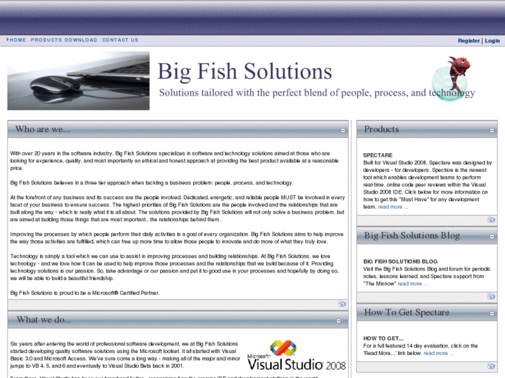 www.bigfishsolutions.biz