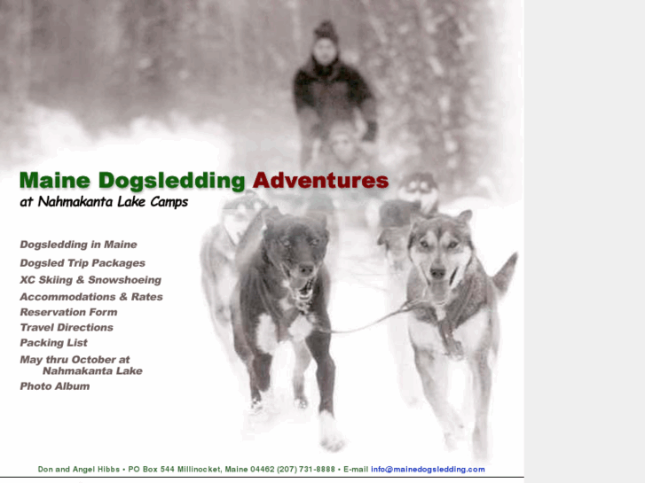 www.mainedogsledding.com