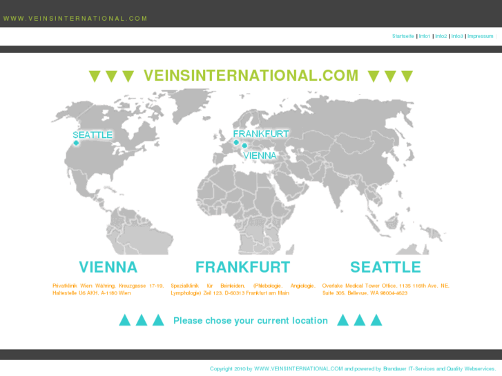 www.veinsinternational.com