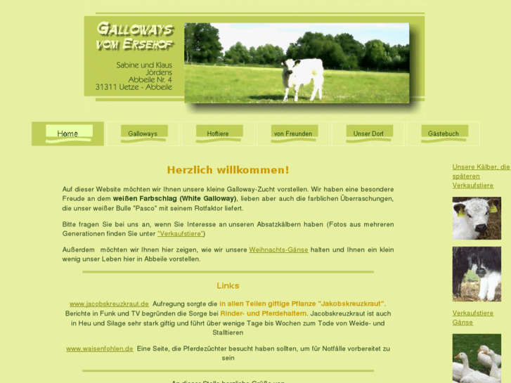www.abbeile.com