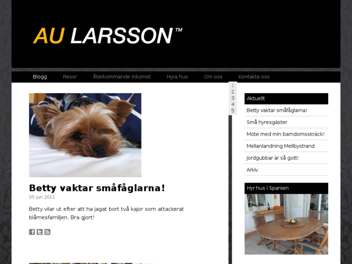 www.aularsson.com