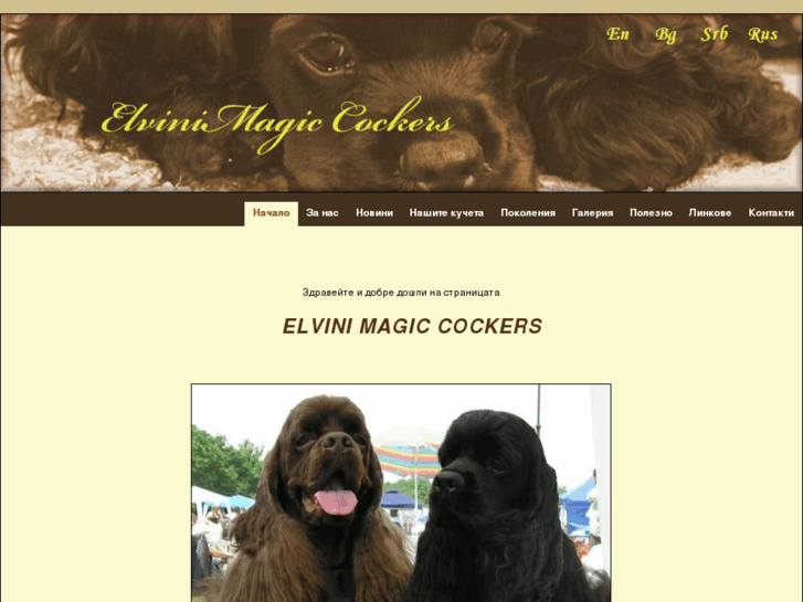 www.elvinimagic.info