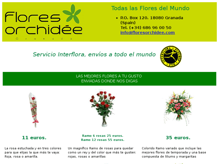 www.floresorchidee.com