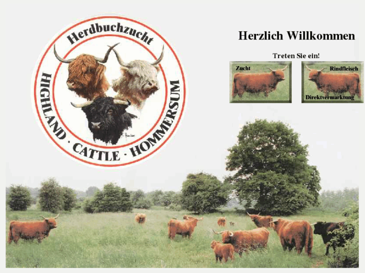 www.highland-cattle-hommersum.com