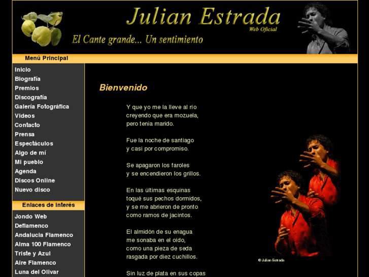 www.julianestrada.com